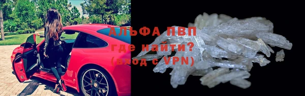 PSILOCYBIN Балахна