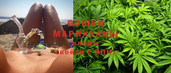 PSILOCYBIN Балахна