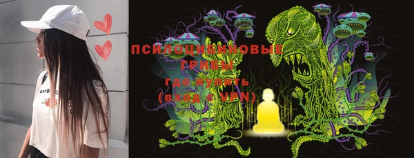 PSILOCYBIN Балахна